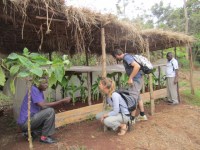 Projet Wilt-bananiers - Visite CADI (15)