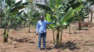 2016-09-visite-beneficaires-projet-bananiers-16